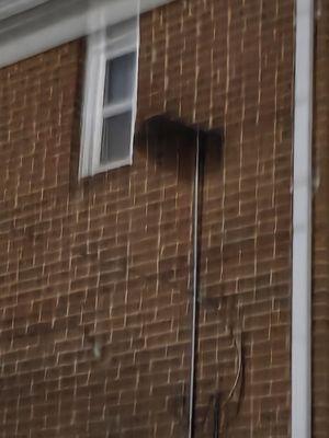 Maplewood Apartments