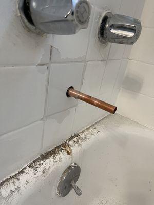 Pastrana Construction & Remodeling