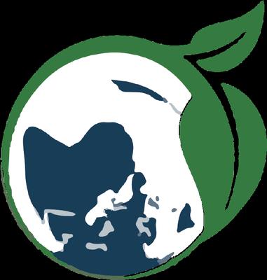 Global Environmental Consultants