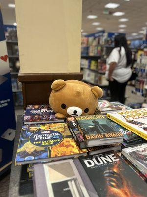 Barnes & Noble Booksellers