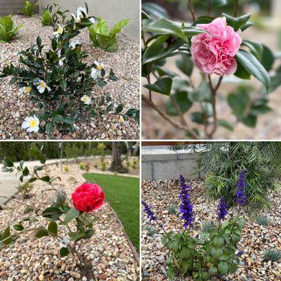 Irrigation Specialist Group