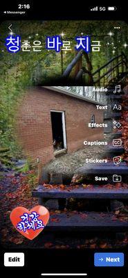 Bernald Tree Service