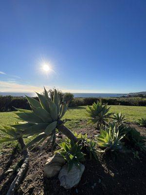 Marilyn Ryan Sunset Point Park