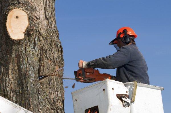 E & R Landscaping & Trees