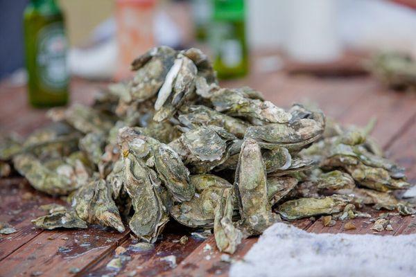 Bull Point Plantation