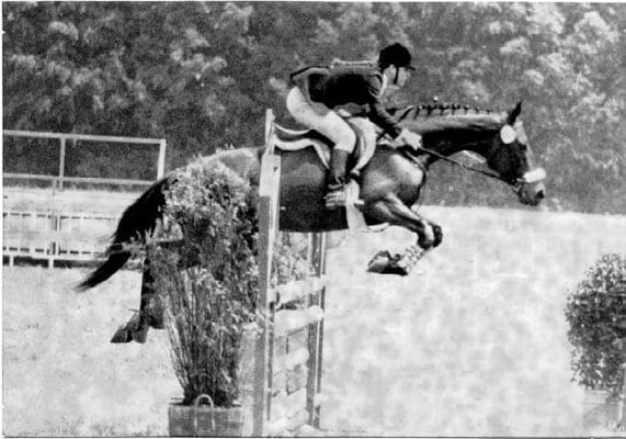 AmeriCan Romance Equestrian