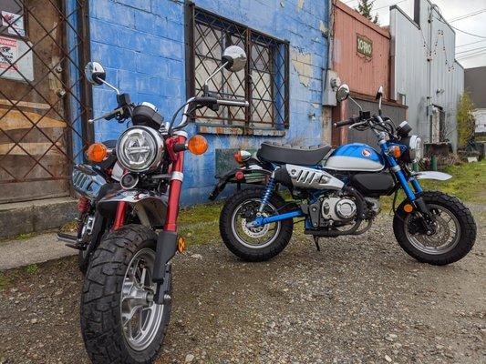 Revolution Motorsports - Revmoto