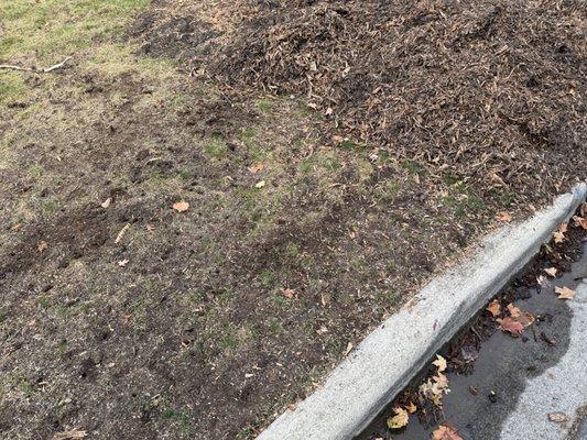 Kevin Masters Arborist Services