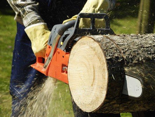 Corrective Tree Care
