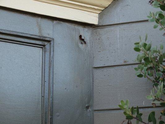 Advance Construction Technology