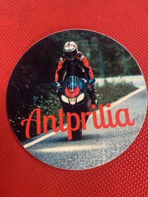 Knoxville Motorsports