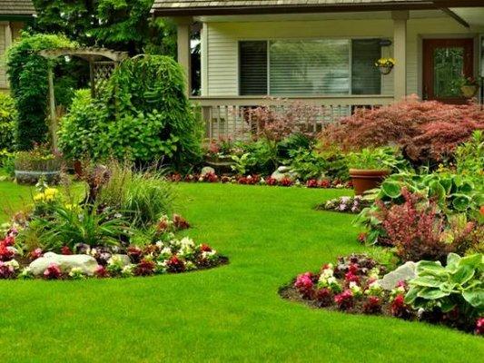 HTX Lawn Services