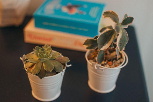 Create Space Therapy