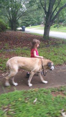 All Things Great and Small