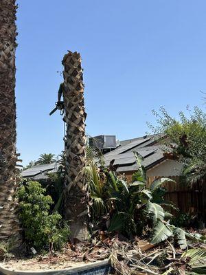 Raymundo’s Gardening Services