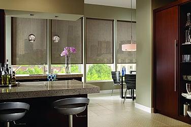 Roll Shades interior