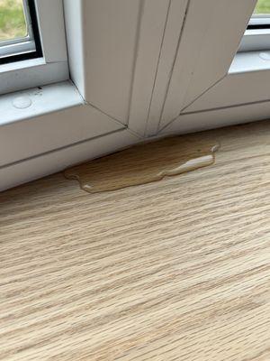 Simplicity Siding & Windows