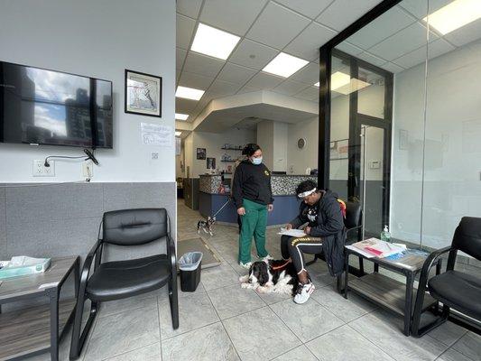 Court Square Animal Hospital