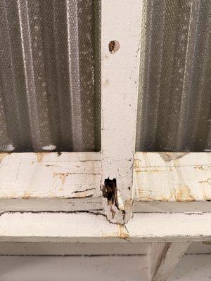 South Coast Painting