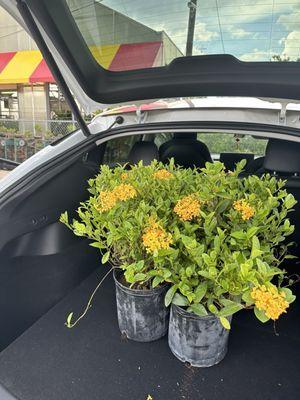 Houston Garden Centers