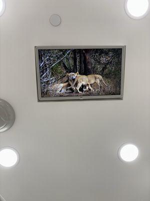 Smile By Choice Denstistry PC