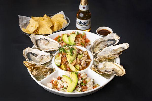 Oysters & Ceviche plate