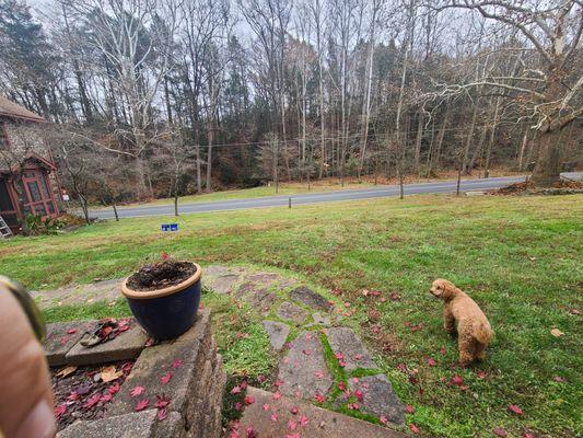 Razor's Edge Landscaping Services