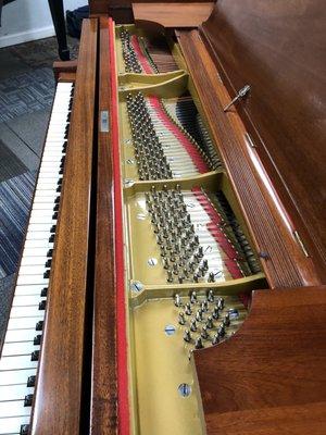 Steinway & Sons. Model. M
Totally restored. 114 years old. All original hardware ivory keys bench