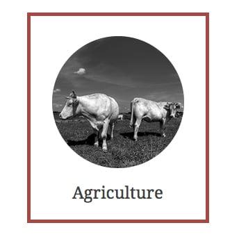 Brady & Hamilton LLP