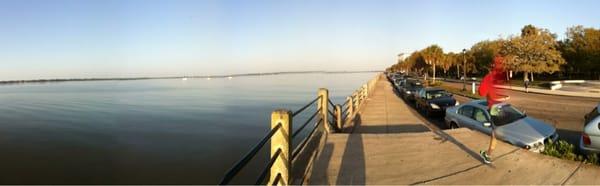 Franny Henty - Always Realty