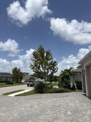 Edward's Tree Service