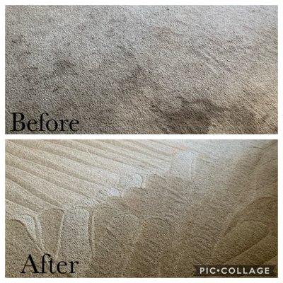 Carpet pretreatment with steam cleaning 3 regular sizes bedrooms pretreatment with steam cleaning $120