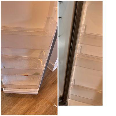 Dust Bunnies Cleaning Services