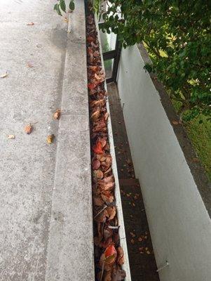 Andrew Maintenance Services