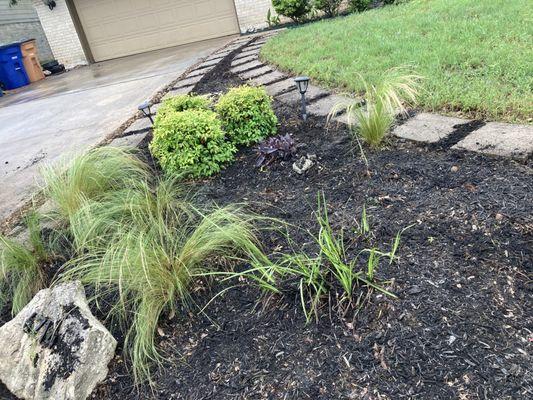 Nunez512 Landscaping