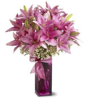 All Occasions Phoenix Florist