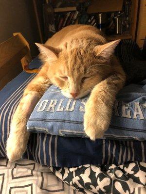 ASPCA Adoption Center