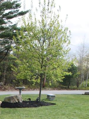 J. LeBlanc and Sons Landscaping