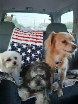 Apex Cleaning Service