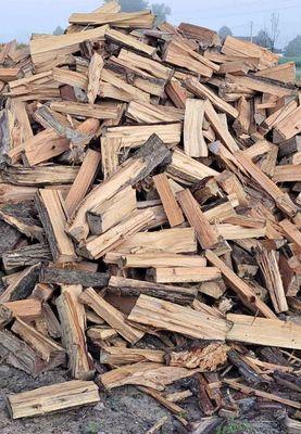 De Paula Tree Services