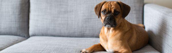 Lowcountry Citrus Solution