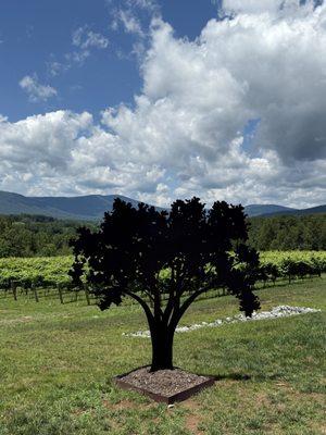 Fallen Tree Vineyard