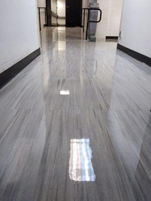 Squeaky Klean Services