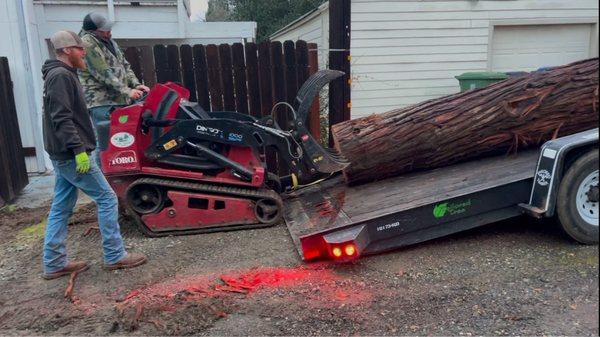 Tailored Tree Service