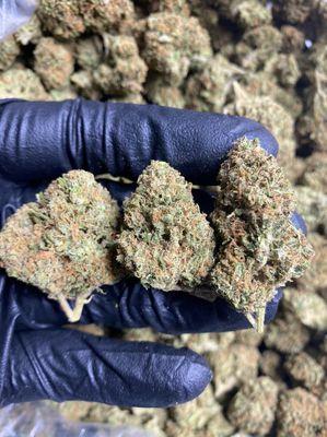 STRAWBERRY SHORTCAKE 
LOCAL 
SHIPPED