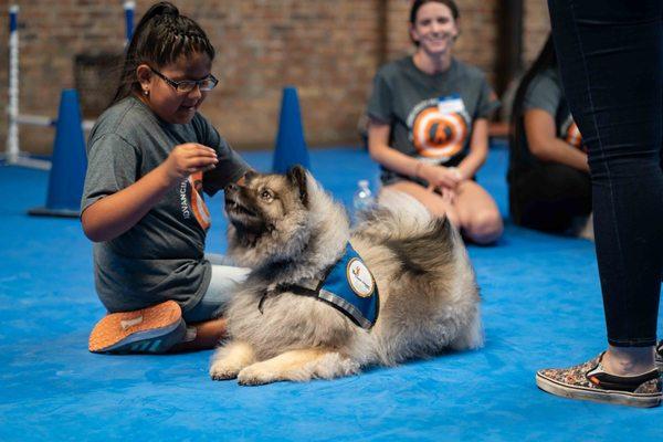 Canine Therapy Corps