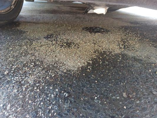 Golden Ring Car & Truck Repair