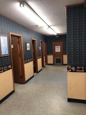 Lowery Animal Hospital