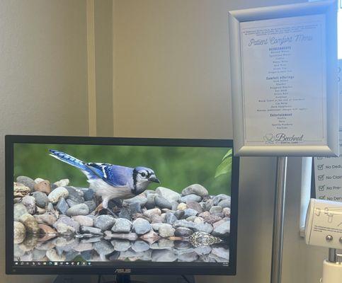 Beechnut Dental Care