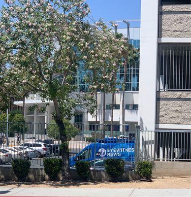 United State District Court